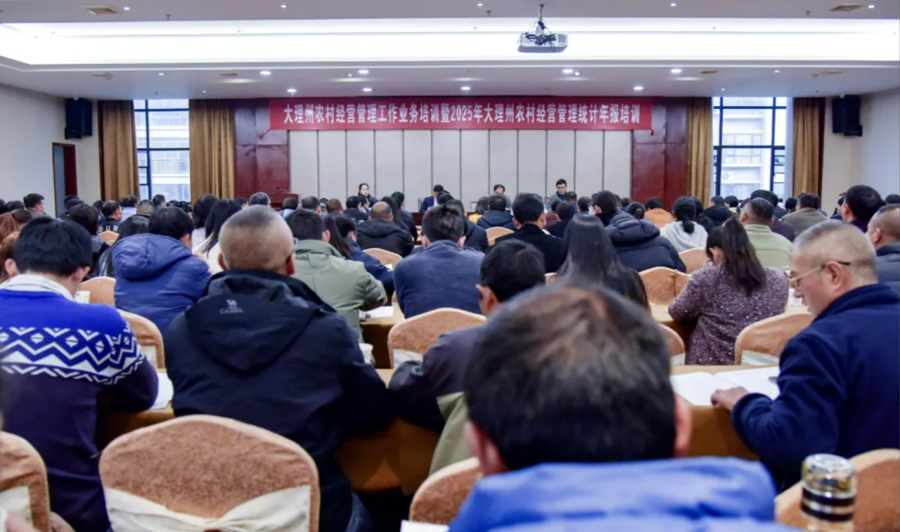 云蜥数字助力 大理三资监管培训开班